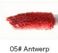 Long Lasting Waterproof Matte Lipstick