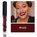 BUD K Hot Brand Lip Gloss +Lip Pencil 2PCS/SET Cosmetics Makeup Waterproof Lipstick Long Lasting Liquid Matte Lipstick For Women